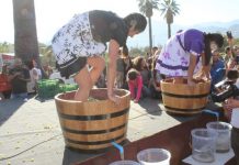 En cinco comunas de la región de Valparaíso se celebran las tradicionales Fiestas de la Vendimia