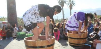 En cinco comunas de la región de Valparaíso se celebran las tradicionales Fiestas de la Vendimia
