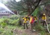 Crean primera brigada de prevención y combate de incendios exclusiva de Juan Fernández
