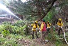 Crean primera brigada de prevención y combate de incendios exclusiva de Juan Fernández