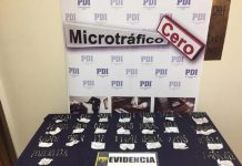 PDI LOS ANDES INCAUTA 169 HONGOS ALUCINÓGENOS