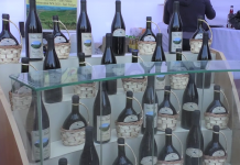 San Felipe: Sexta versión del Festival de la Vendimia se realizará los días 30 y 31 de marzo