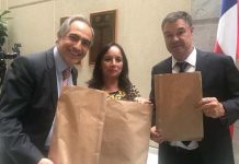 Parlamentarios buscan que el comercio entregue gratis a lo menos una bolsa biodegradable