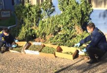 PDI DETUVO A MUJERES DE LA TERCERA EDAD CON DROGA AVALUADA EN MÁS DE 721 MILLONES DE PESOS