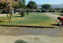 San Felipe: Empresa Eco Sweep se adjudicó mantención de los 350 mil metros cuadrados de áreas verdes de la comuna