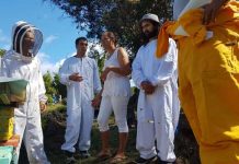 DELEGACIÓN DE APICULTORES MAORÍ VISITÓ RAPA NUI PARA CONOCER LAS ABEJAS MÁS SANAS DEL MUNDO