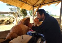 INDAP APOYA A ARTESANO DE ALGARROBO QUE TALLA HERMOSAS CARACOLAS DE MADERA RECOLECTADA