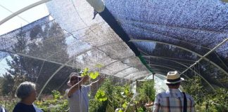 Investigador de INIA La Cruz participa en proyecto que generará nuevas plantas tolerantes a la sequía