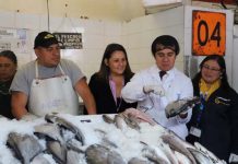 Positivo avance de fiscalizaciones y decomisos en venta de productos del mar por Semana Santa en la región