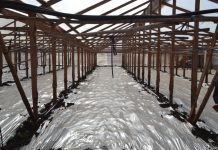 INDAP ENTREGA CAPITAL DE TRABAJO A 4 MIL FAMILIAS CAMPESINAS DE LA REGIÓN PARA ENFRENTAR CRISIS POR SEQUIA Y CORONAVIRUS