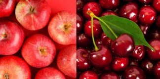 MINISTRA DE AGRICULTURA DESMINTIÓ RUMOR CHINO POR PRESUNTAS CEREZAS CHILENAS CON COVID-19