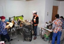 Codelco Andina realiza operativo veterinario para cerca de 20 perritos que moran en Saladillo