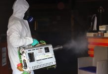 Rapa Nui: Seremi de Salud intensifica acciones por alerta sanitaria ante brote de dengue