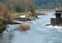 FORMALIZARÁN A UN FUNCIONARIO PÚBLICO Y DOS CIVILES POR CAÍDA DE PUENTE