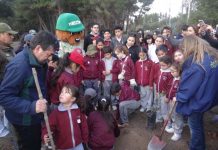 Estudiantes de Placilla plantan árboles nativos para generar inédito arboretum en Reserva Lago Peñuelas