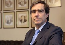 Bosques: los aliados contra el cambio climático