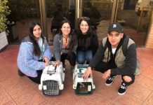 CONAF, U. Mayor y municipio local incentivan la adopción de gatos callejeros de Juan Fernández