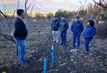 Invierten 54 millones de pesos para tecnificar riego con energía solar para pequeños agricultores llayllaínos