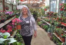 DEL VALLE DE ELQUI AL PUEBLITO DE LO ABARCA EN CARTAGENA: GUADALUPE Y SU VIVERO DE MÁS DE 100 PLANTAS MEDICINALES