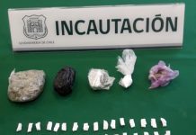 Gendarmes de San Felipe decomisan droga ingresada por trabajador de empresa contratista