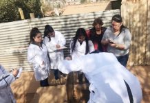 Viña del Mar: Futuros ingenieros ambientales asesoran a pobladores del campamento Manuel Bustos