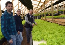 JOVEN EMPRENDEDOR CARTAGENINO CONQUISTÓ EL RETAIL CON SUS LECHUGAS HIDROPÓNICAS