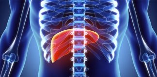 Día mundial contra la hepatitis: ¿Cuáles son sus principales variantes y por qué es vital pesquisarla a tiempo?