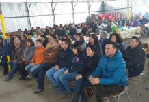 Agricultores de Llay Llay realizan masiva celebración de fiesta campesina