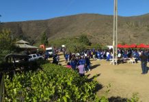 Cerca de 600 personas observaron el eclipse solar en el Parque Urbano Natural La Ligua