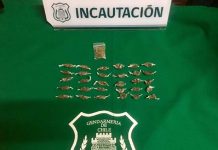 Gendarmes de Los Andes incautan droga durante el ingreso de visitas