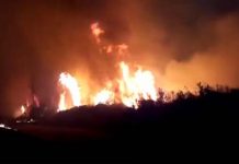 VIDEO / Se declara Alerta Roja para las comunas de Catemu y Panquehue por incendio forestal