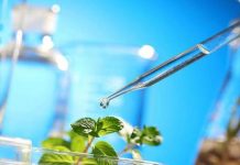 Startup presentarán soluciones tecnológicas para la fruticultura sustentable en Los Andes