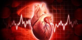 ¿Se puede rehabilitar el corazón?