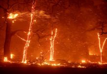 CHILE ANUNCIA COLABORACIÓN PARA INCENDIOS FORESTALES EN EL AMAZONAS