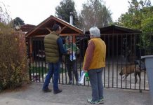 Calle Larga: Codelco Andina informa “casa a casa” su gestión comunitaria en San Vicente y Los Rosales