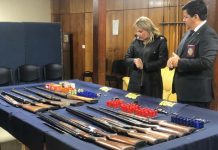 PDI RECUPERA ARMAS Y MUNICIONES EN PROVINCIA DE PETORCA