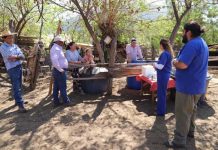 Municipio Andino capacita a ganaderos que recibieron ayuda de alimentos y estanques de agua