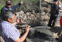 En Camino Internacional por primera vez 50 familias de Los Espinos en San Esteban contarán con agua potable