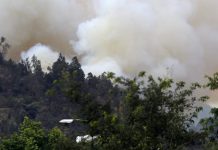 INTENDENCIA DE LA RM DECRETA ALERTA ROJA EN PROVIDENCIA POR INCENDIO EN CERRO SAN CRISTÓBAL