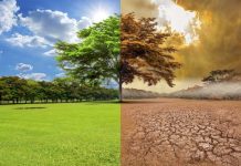 Cambio Climático: desafíos y acciones para mitigar sus efectos