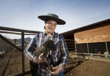 Ganadera de San Esteban desarrolla innovación tecnológica contra la sequía con apoyo de Indap