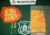 Los Andes: Gendarmes descubrieron chis pop rellenos con droga