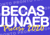 Postulación y renovación de Becas Junaeb 2020 no exigirá matrícula ni año académico concluido