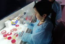 Laboratorio Clínico de Municipalidad de Temuco y UST benefician a 197 mil usuarios