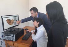 UDLA y Museo de Historia Natural de Valparaíso realizan digitalización tridimensional de piezas patrimoniales