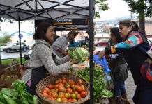Más de 260 agricultores comercializan sus productos en los mercados y ferias campesinas de Indap Valparaíso