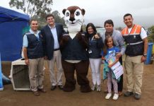 Avanza proceso para que playa de Cachagua se convierta en la primera del país en obtener certificación internacional BlueFlag