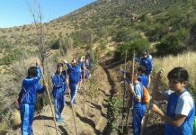 Los Andes: Ministerio de Medio Ambiente certifica a Escuela Ignacio Carrera Pinto como “Escuela Sustentable” en su nivel intermedio