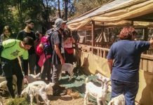 SEQUÍA Y ESTALLIDO SOCIAL CAMBIAN RUMBO DE CRIANCERA DE PUTAENDO: AHORA ES EXITOSA EMPRENDEDORA DE TURISMO RURAL