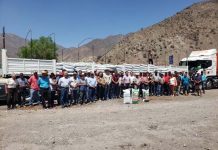 San Felipe: 72 usuarios de Prodesal recibieron pellets de alfalfa para alimentar a sus animales por la sequía